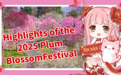 梅花节2025