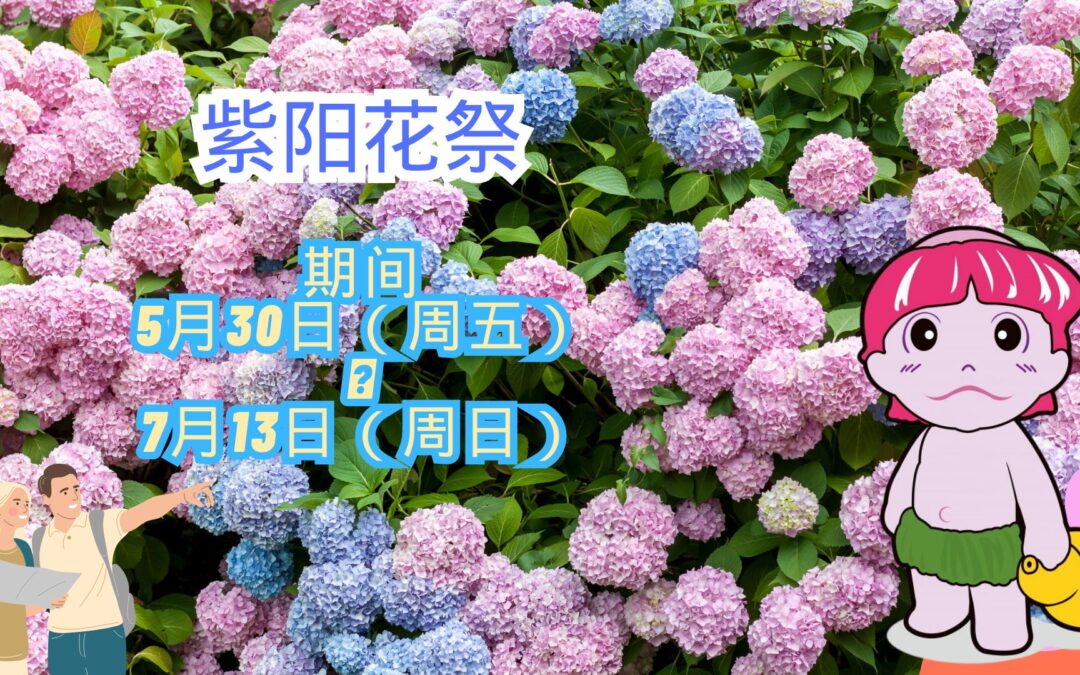 风早之里紫阳花祭2025确定举办!!