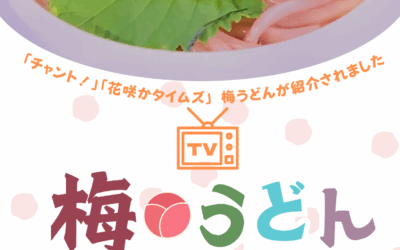 “梅子乌冬面”登上电视节目！