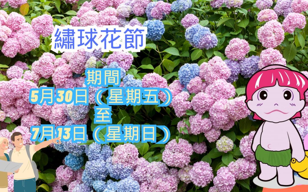 風早之里繡球花祭2025隆重舉行!!