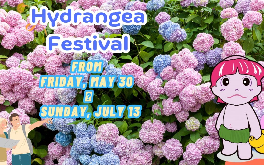 Kazahaya-no-Sato Hydrangea Festival 2025 Confirmed!